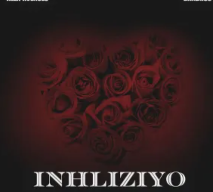 Screenshot 2025-02-22 190745 Alex Avenues & Bandros – Inhliziyo (feat. Mally & Mzu M)