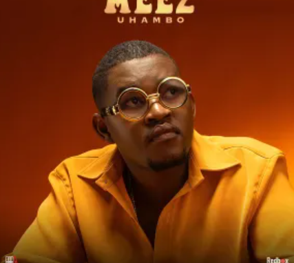 Screenshot 2025-03-18 150840 MEEZ & Mthunzi – Unodoli