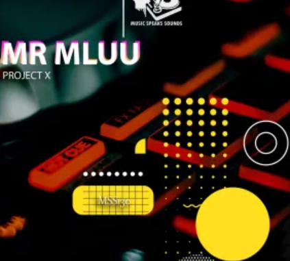 Screenshot 2025-03-23 173306 Mr Mluu – Project X EP