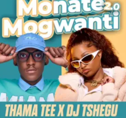 Screenshot 2025-04-10 195029 Thama Tee & DJ Tshegu – Monate mogwanti 2.0 (feat. CowBoii, LeeMcKrazy, Matuteboyrsa & Masterpiece YVK)